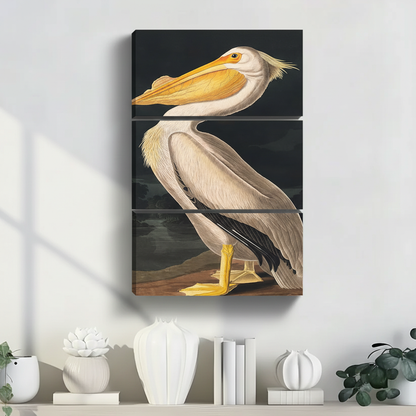 鹈鹕三联装饰画